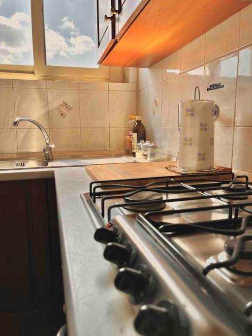 Panoramic 7 Apartment ตูริน ภายนอก รูปภาพ